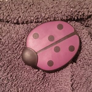 Purple Ladybug Broom H2o At Home